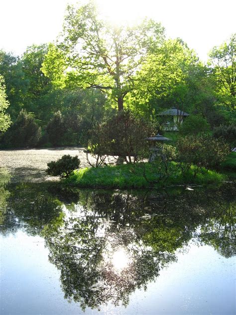 Japanese Garden: Pond In Japanese Garden.