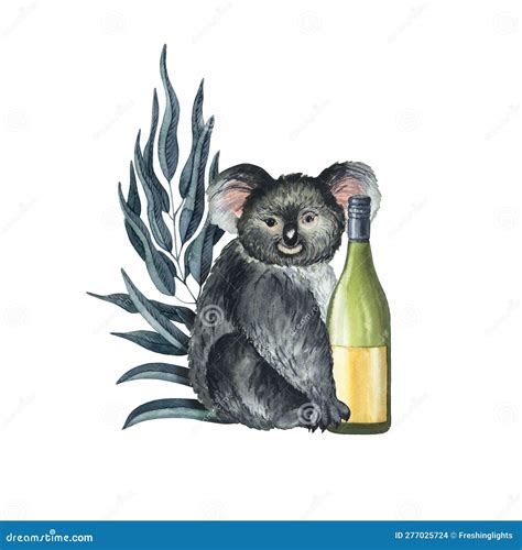 Australian Wine Watercolor Composition with Koala, Eucalyptus and Bottle Hand Drawn Isolated on ...