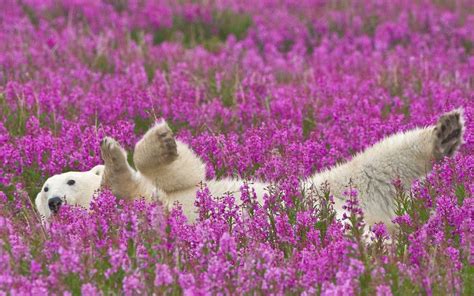 13 animals who are super excited about spring - Cottage Life