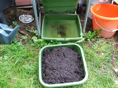 The Compost Bin: Hungry Bin trial after 4 weeks - harvesting the vermicompost for the first time!