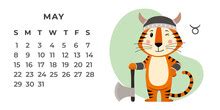 May 2016 Calendar Of White Tiger Free Stock Photo - Public Domain Pictures