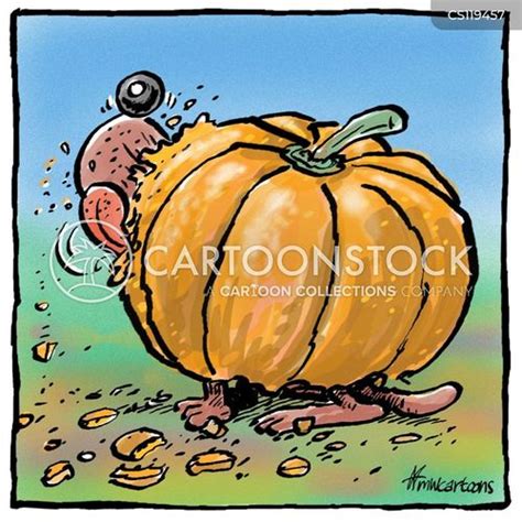 Pumpkin Patch Cartoons and Comics - funny pictures from CartoonStock