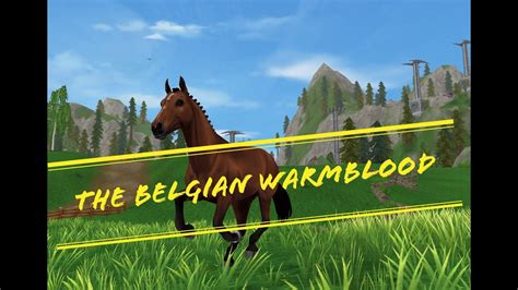 SSO: The new Belgian Warmblood - YouTube