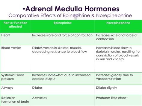 Image result for epinephrine vs norepinephrine function ...