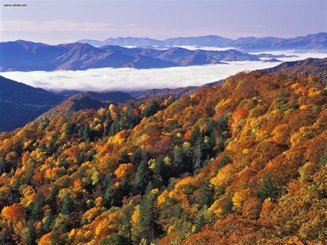 Smoky Mountains Winter Wallpaper