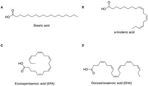 5: The structure of representative saturated and unsaturated fatty... | Download Scientific Diagram