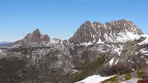 Wildlife — Cradle Mountain Highlanders Cottages