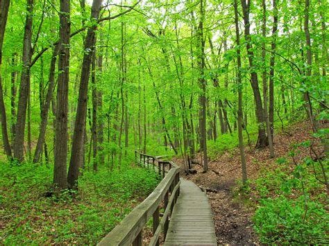 7 Best Hiking Trails for NYC Families to Explore