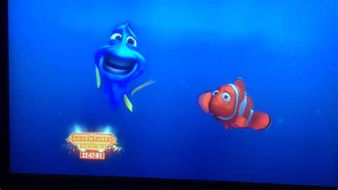 Finding Nemo The Whale