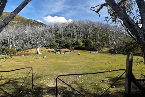 Goin' Feral One Day At A Time: Bogong Village to Little Plain, Bogong High Plains Circuit ...