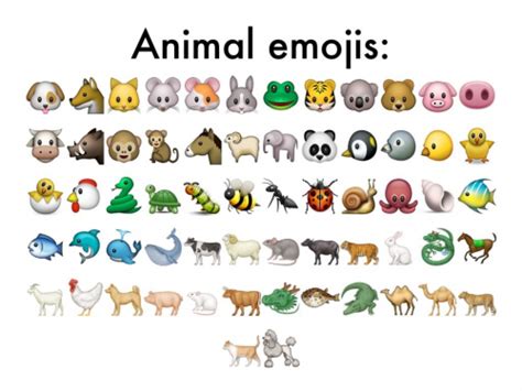 Create a Animal Emojis Tier List - TierMaker