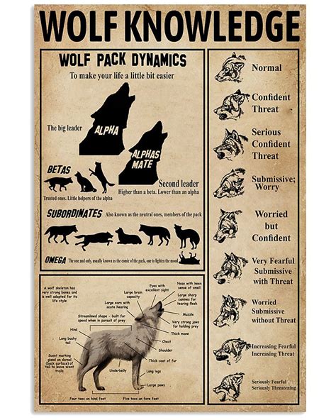 Wolf Pack And Anatomy Knowledge | Knowledge, Personalized gallery wall ...