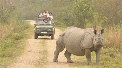 Wildlife Sanctuaries To Visit In Assam! - SuccessYeti