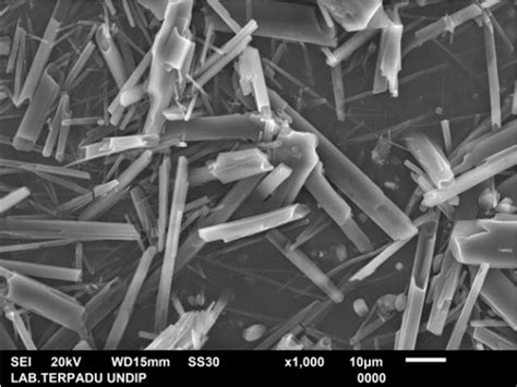 Microcrystalline cellulose with magnification 1000x shows the SEM ...