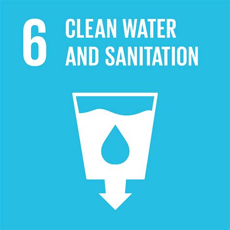 Sustainable Development Goal #6, Clean Water and Sanitation & Project Management