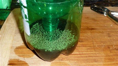 Get Rid Of mosquitoes At Your Home With This Simple Homemade