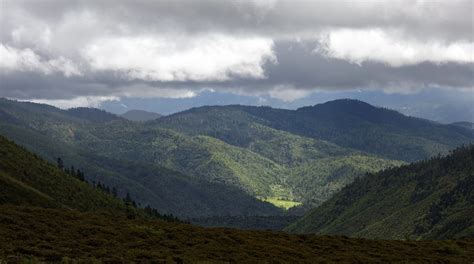 Forests of the Hengduan mountains, Tibet 2015 | Conifer fore… | Flickr