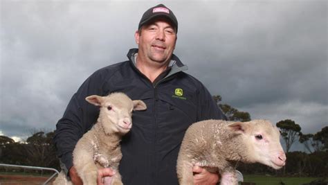 Sheep farming of the future on show | The West Australian