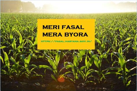 Meri Fasal Mera Byora Agriculture Scheme 2022