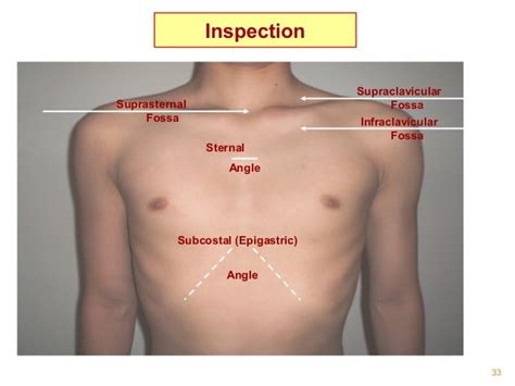 Clinical Diagnosis of Respiratory Diseases