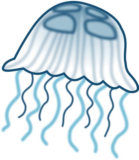 Jellyfish clipart cnidarians, Jellyfish cnidarians Transparent FREE for download on ...