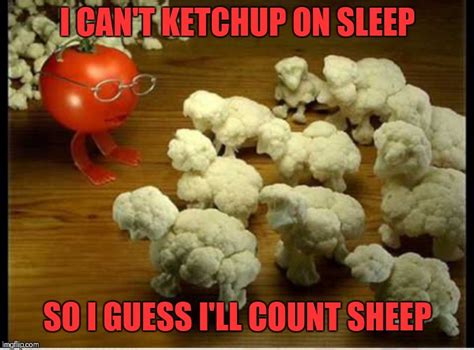 Counting Sheep - Imgflip