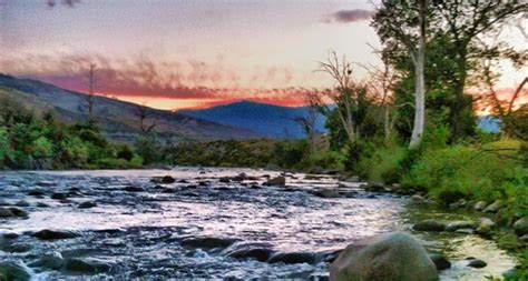 Truckee Meadows Cremation & Burial - Reno, NV