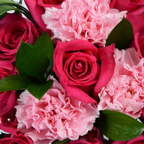 Ten Dark Pink Roses & Carnations | Multiflora