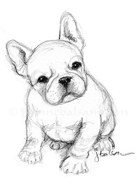 40 Free & Easy Animal Sketch Drawing Ideas & Inspiration - Brighter ...