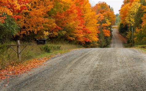 Path through autumn forest wallpaper - Nature wallpapers - #37891