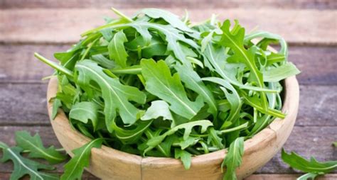 Health Benefits of Arugula, Nutritional Facts And Consumption Tips