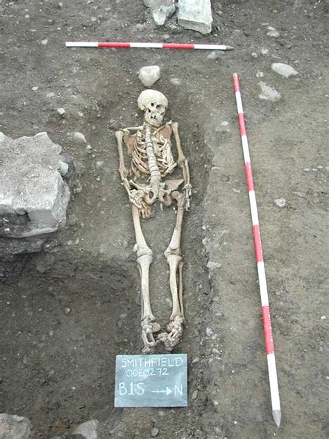 Archaeologists Find Mermaid Skeletons? ~ The Crypto Crew