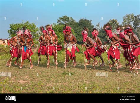 Gendi dance, bastar, chhattisgarh, india, asia Stock Photo - Alamy