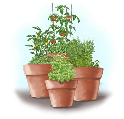 Container Gardening – Bonnie Plants