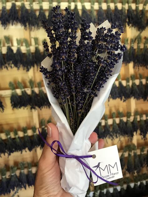 Dried Lavender Bouquet | Moore Manor Lavender