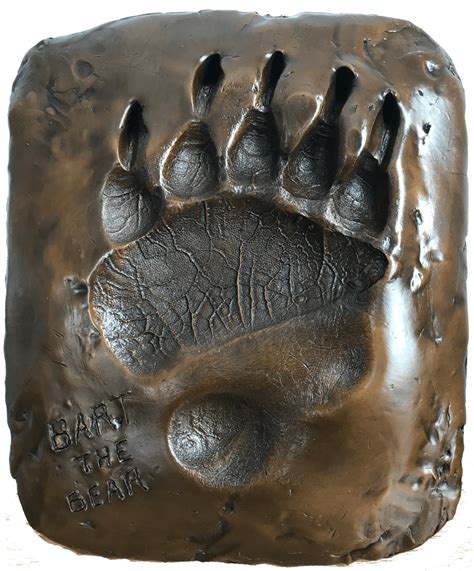 Grizzly Bear Paw Print | ubicaciondepersonas.cdmx.gob.mx