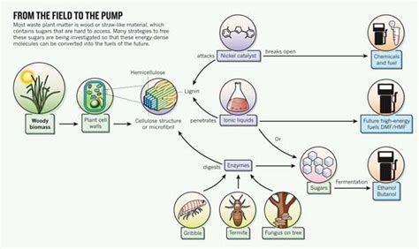 Bioplastics - Open Source Ecology