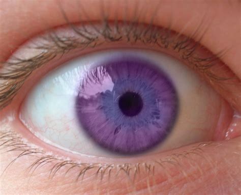 Purple eye by Aenia on DeviantArt