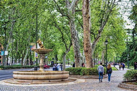 Las 10 calles más populares de Madrid - Disfruta de un paseo por las encantadoras calles y ...