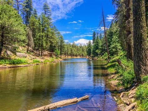 Apache-Sitgreaves National Forest: Explore the Beauty