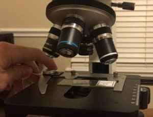 What is Microscope Field of View? – Microscope Clarity