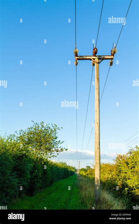 Wooden utility pole and electricity power lines in the countryside, Nottinghamshire, England, UK ...