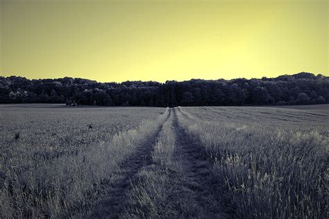 Dirt Road Unmade Promenade Hdr - Free photo on Pixabay - Pixabay