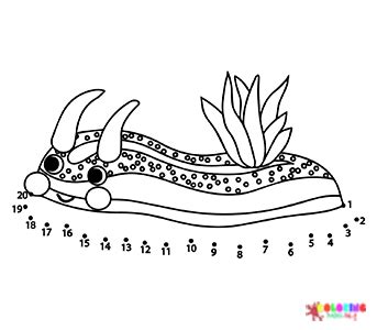 The Sea Cucumber Coloring Pages - Free Printable Coloring Pages