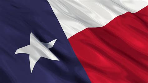 Flag Of Texas 'The Lone Star Flag' Waving In The Wind. Seamless Looping ...