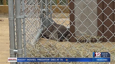 French Creek Freddie makes prediction despite Wildlife Center closure – WBOY.com