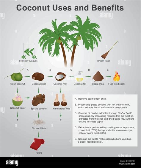 coconut production copra, coconut oil, copra meal, desiccated coconut ...