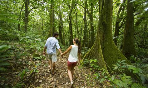 Moorea Hiking, The Pass of the Three Pines | Tahiti.com