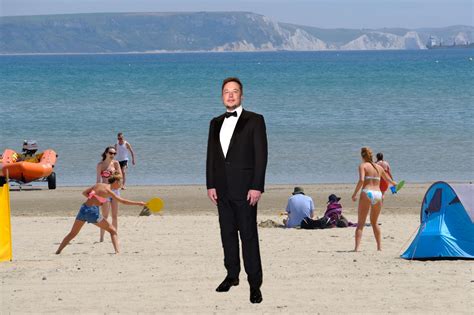 Normal man Elon Musk shows up to chill beach party wearing a full suit ...