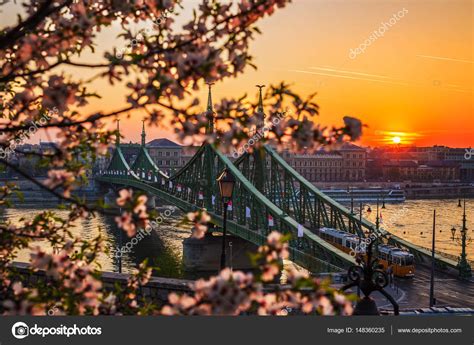 Budapest, Hungary - Beautiful Liberty Bridge at sunrise with typical ...